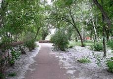 Старые вырвать, новые посадить?