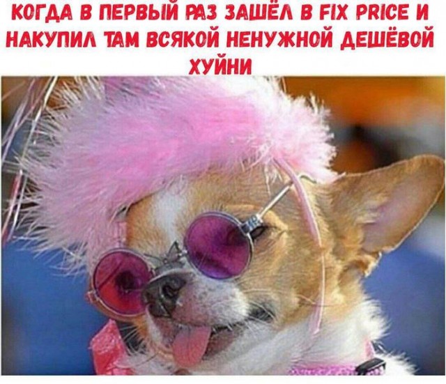 Картинки для деградации 76 (разной степени свежести)