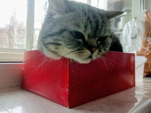 Котокоробковое
