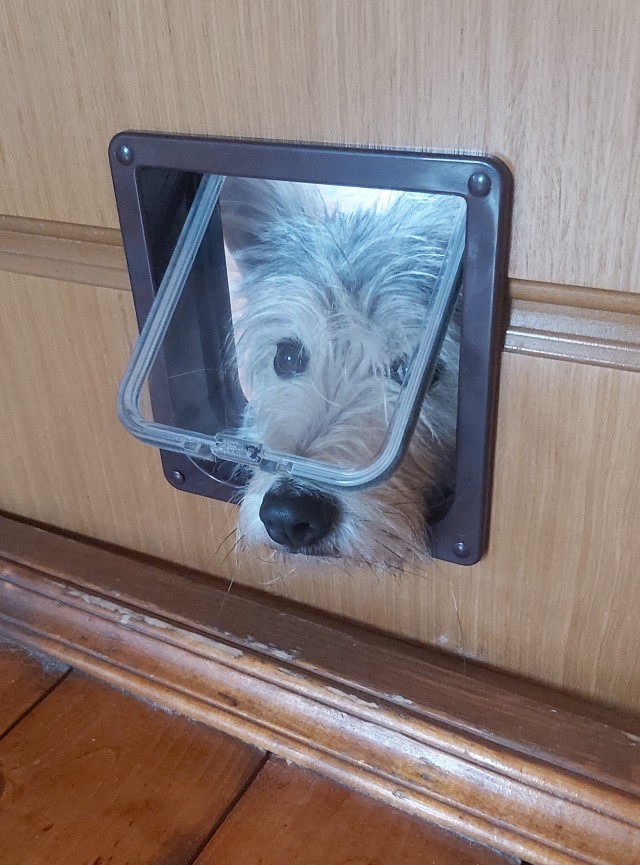 Кошковое
