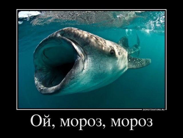 Склад баянов