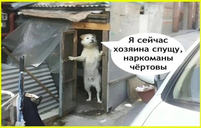 Картиночки, баянчики 29 июня