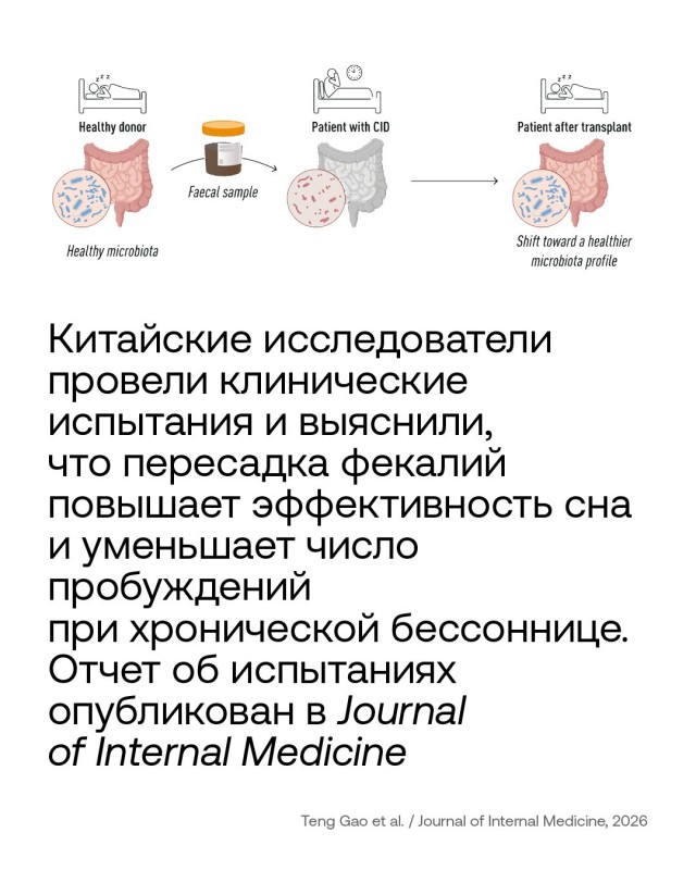 Новости медицины про говно