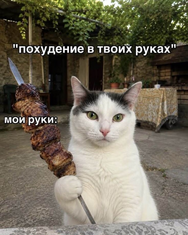 Веселые картинки в понедельник (03.08)