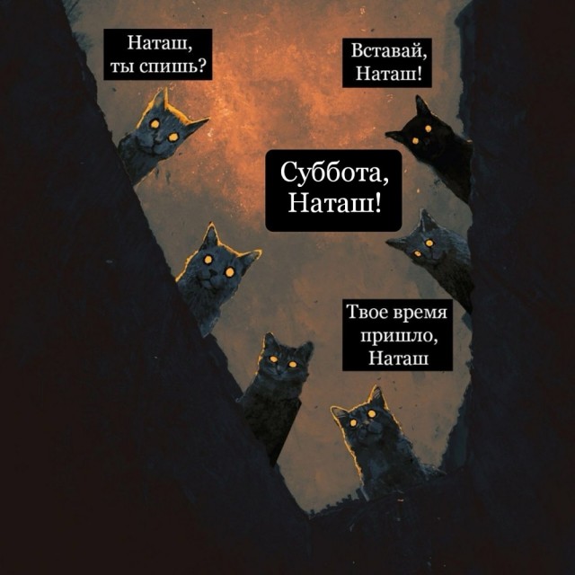 Суббота у Наташи