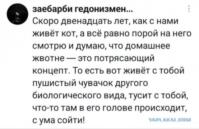 Выгодное предложение