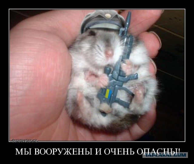 Ярош угрожает взорвать нефтепровод "Дружба"