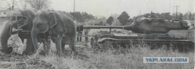 Wargaming 10