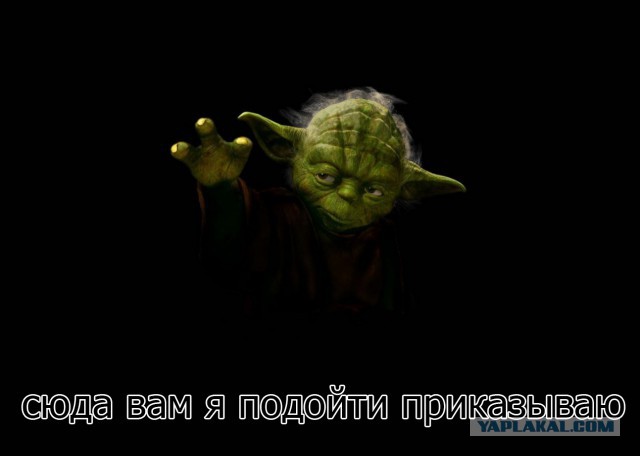 Весеннее обострение. Ростов-на-Дону.