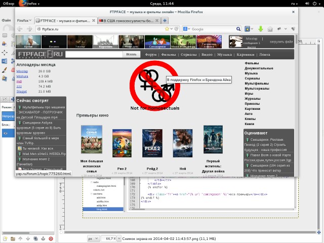В США гомосексуалисты бойкотируют Mozilla Firefox