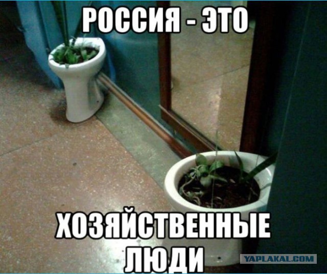 Это Россия, детка!