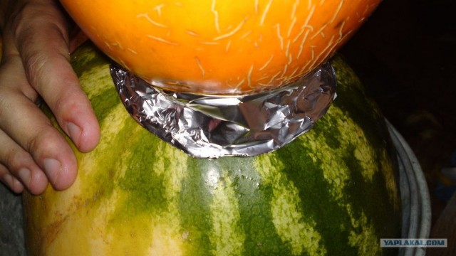 Фруктовый кальян