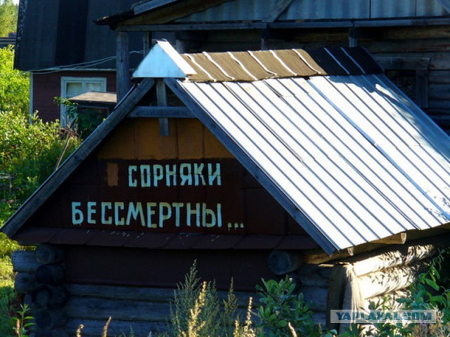 Немного картинок перед понедельником