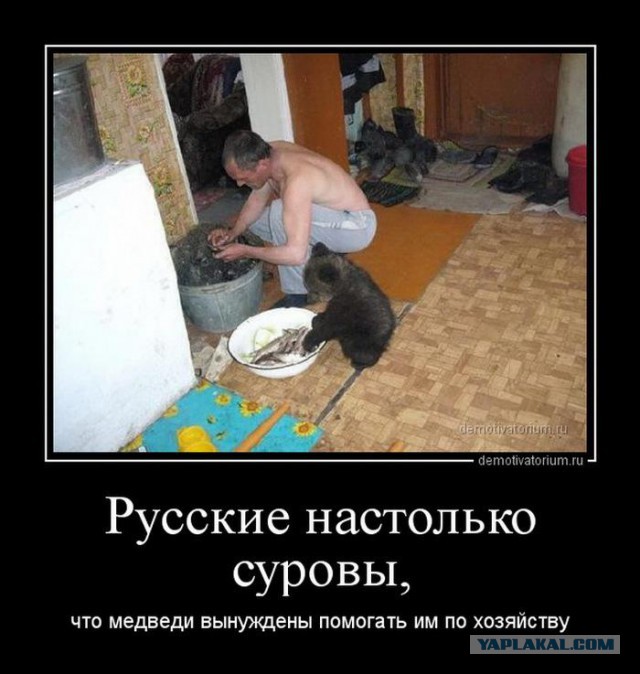 Веселости из сети