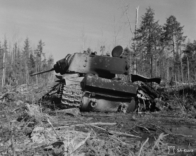 Фотоподборка