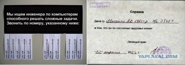 Идиотские надписи и маразмы в картинках
