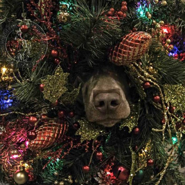 Подборка интересных и веселых картинок