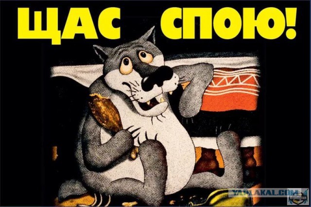 Бродячая собака пришла послушать оркестр