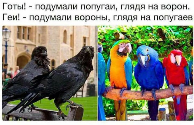 Подборка интересных и веселых картинок