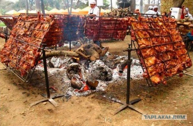 Самый длинный в мире шашлык