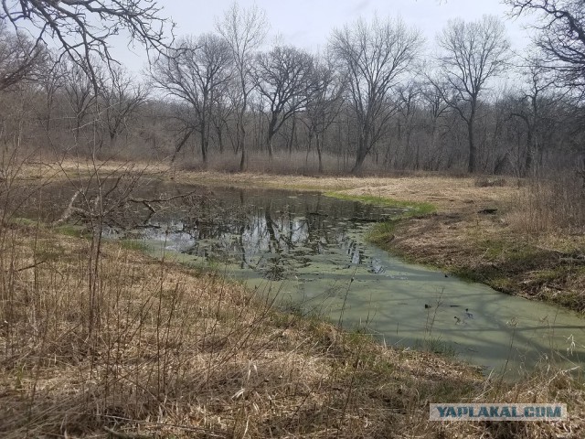 Просто Природа