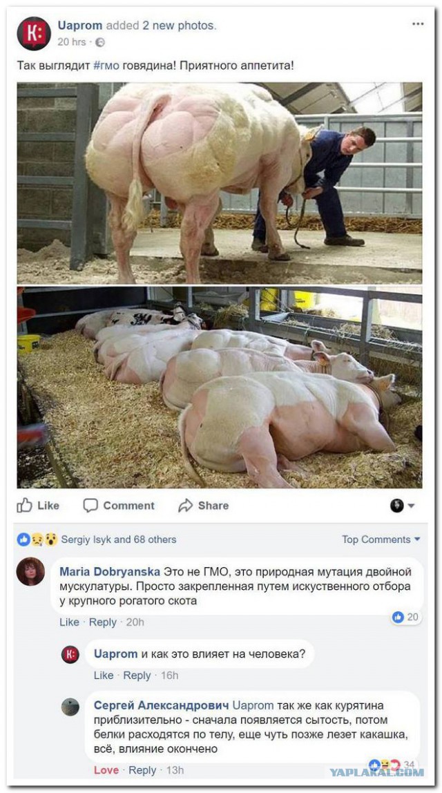 Пока нет Васька. Немного смешных коментов