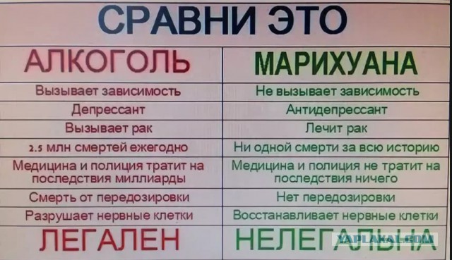 Канада. После легализации Марии Ивановны :) 18+!