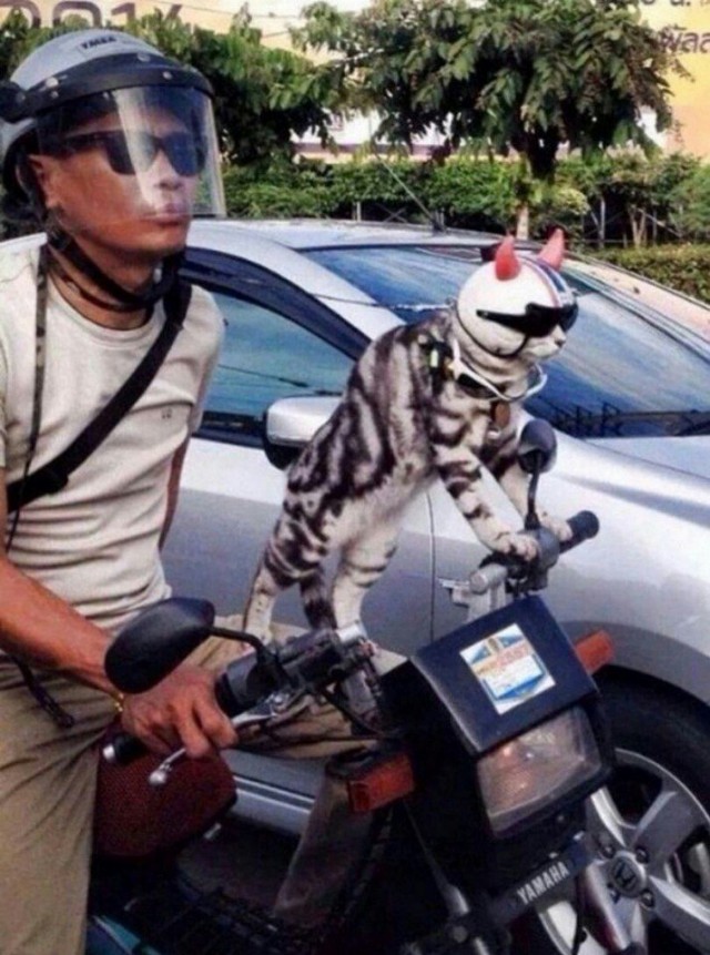 Немного милоты