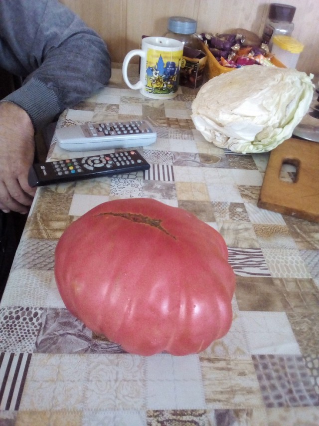 Вкус помидора