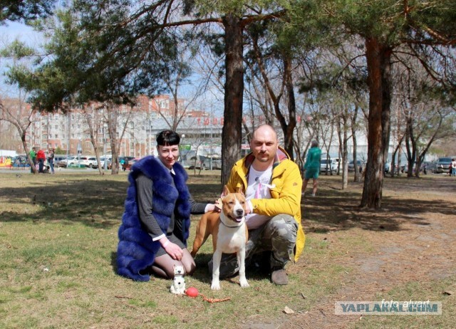 Собакочетверг же 19 09 2019