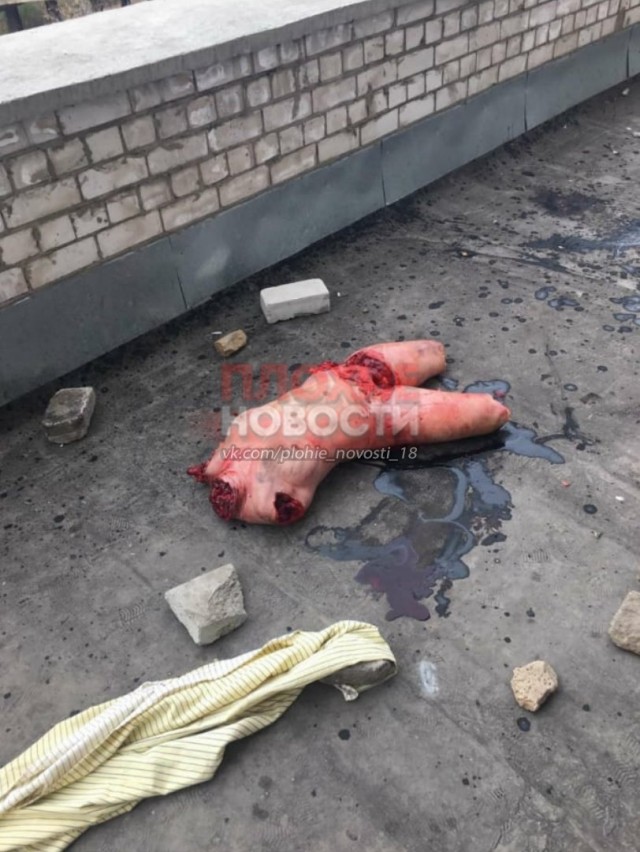 «Такое могло случиться только в России»: британцы обсуждают зверское убийство стриптизерши в Чите