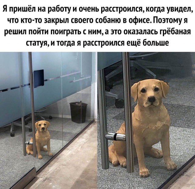 Чуток картинок 07.07.20