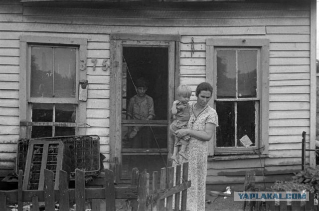 Сталинский план преобразования природы. Что вы об этом знаете?