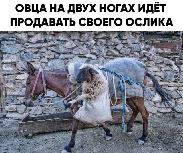 Картинки с надписями и всякие жизненные фразы 1.05.21