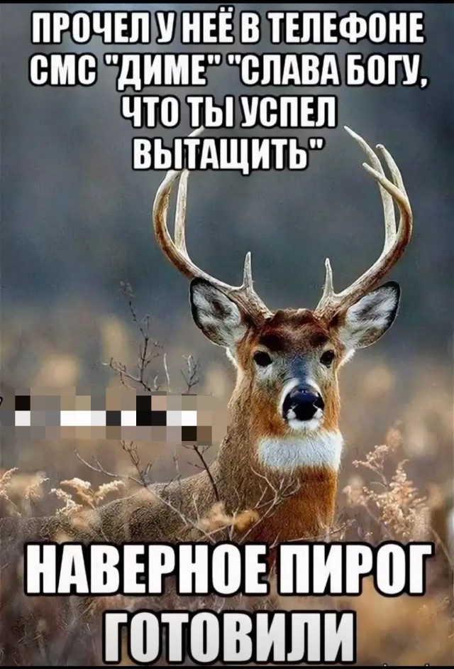 Да я успел. Блэт мем. Ну ты блин даешь картинка. Мемы про не успеваю. Ну ты блин даешь.