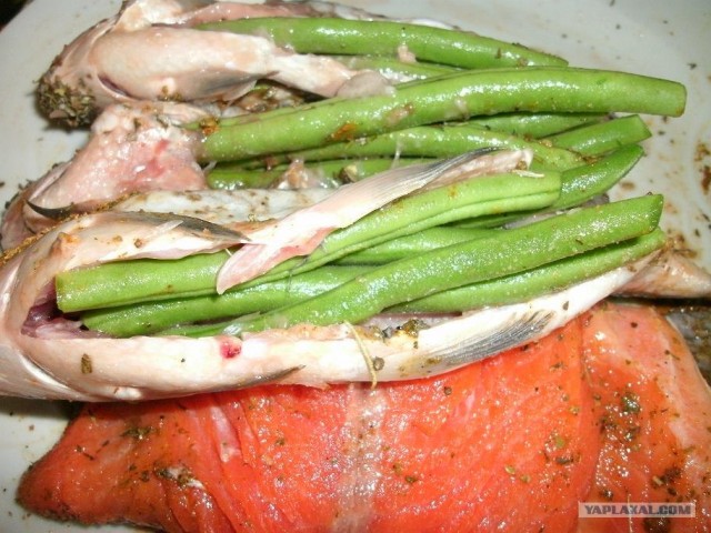 Пятничные посиделки на теплотрассе ©