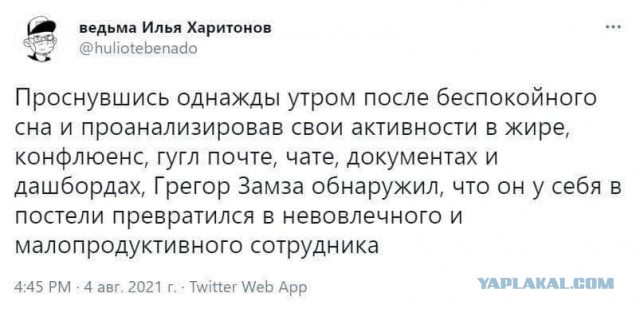 Свинегрет: картинки, надписи и прочее "на", №32