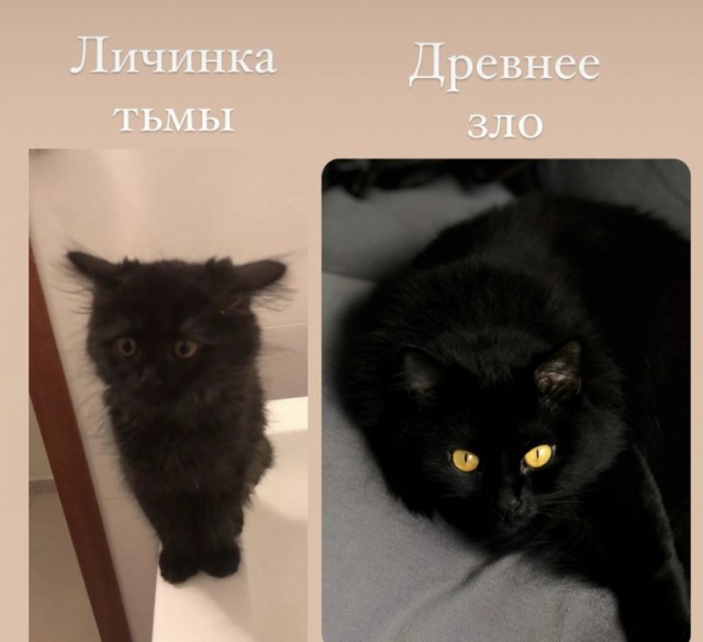 Картинки на вчера