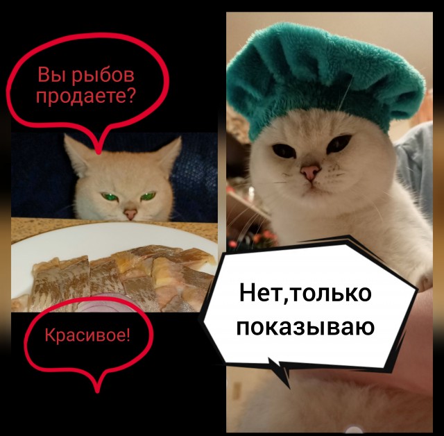 Котовторниковское
