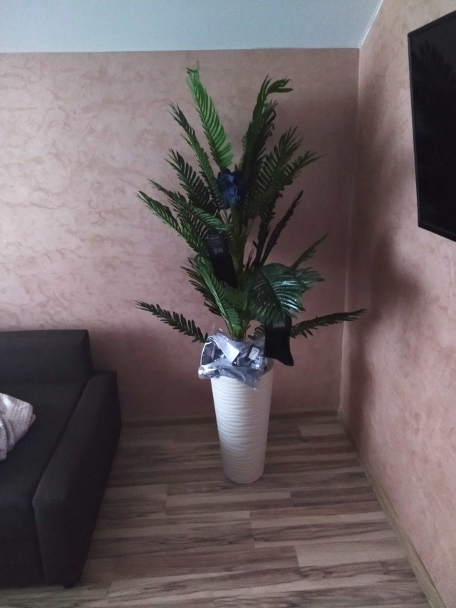 23 февраля. Пост хвастовства