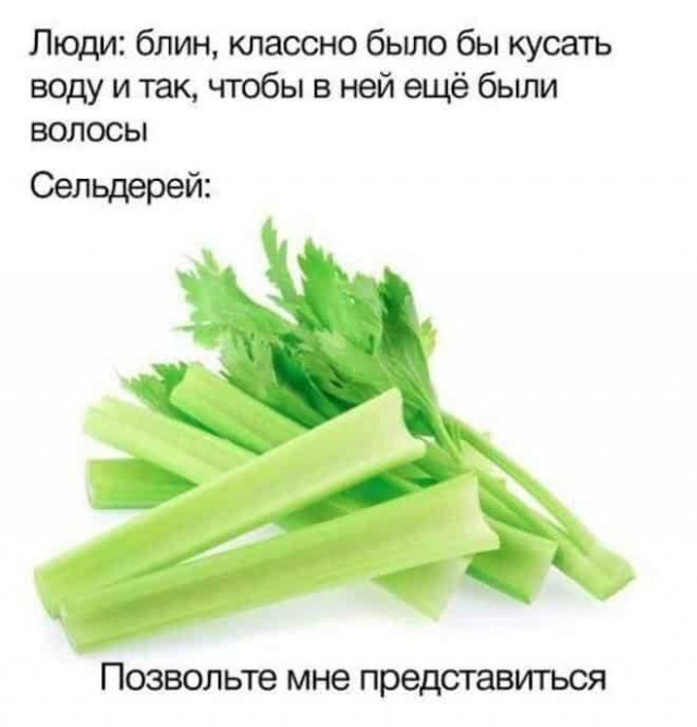 Весёлый полтишок 06.04.22