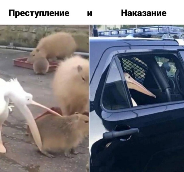 Так себе картинки 10.04.22