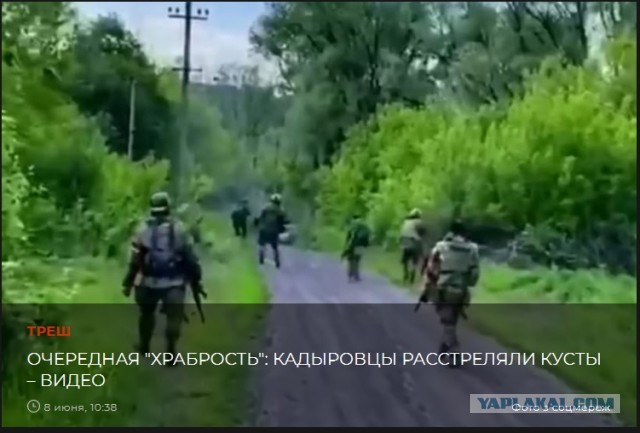 Давненько не было видно тик ток полка Кадырова