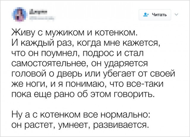 Веселые картинки для настроения!