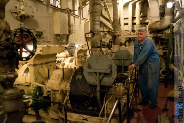 СПб глазами уставшего туриста...