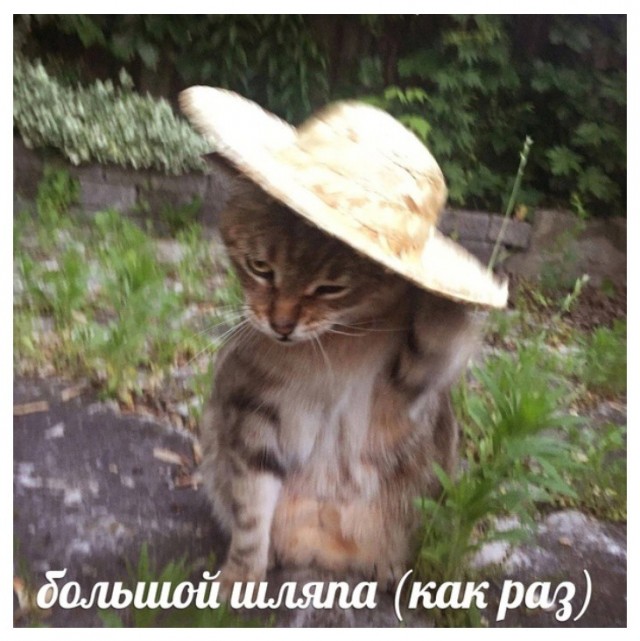 Юмор в картинках и без 05.08.22
