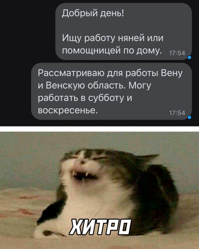 Немного картинок для настроения - 127