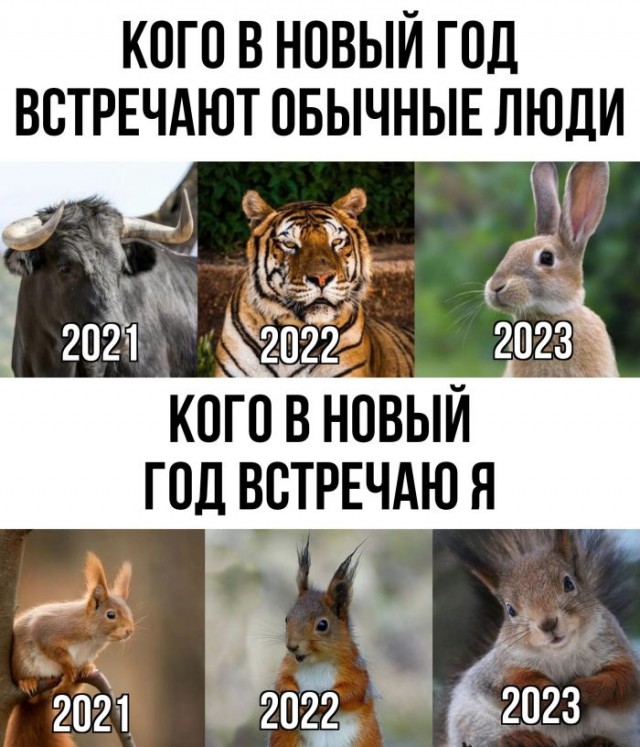 Картинки и мемы, всем хороших выходных