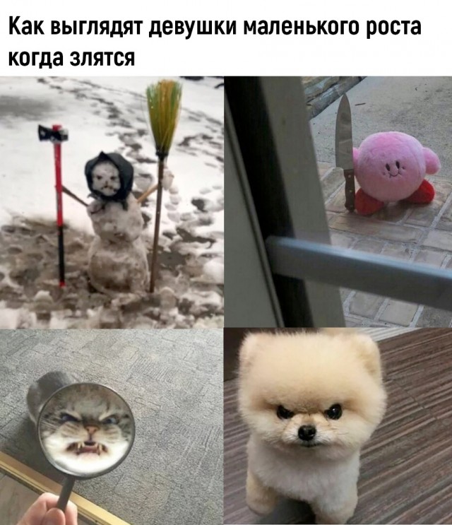 Так себе картинки 18.01.23