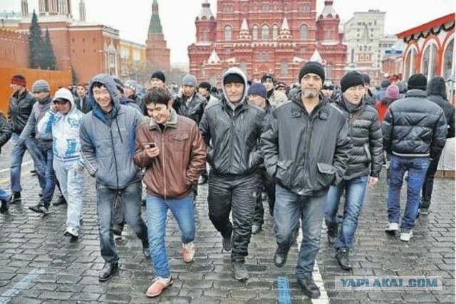 В Новосибирске толпа мигрантов пыталась линчевать местного водителя